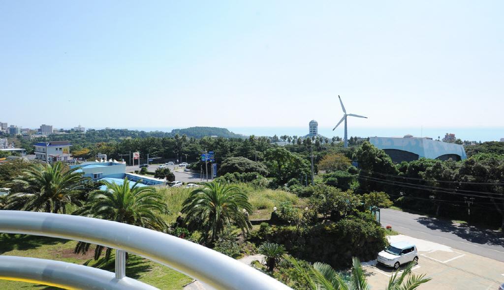 Dream & Green Pension Yerye-dong Номер фото